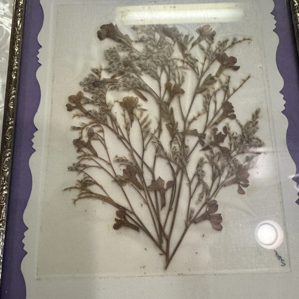 VTG Faux Mother of Pearl Frame Metal Ornate‎ Pressed Flowers Hollywood Regency